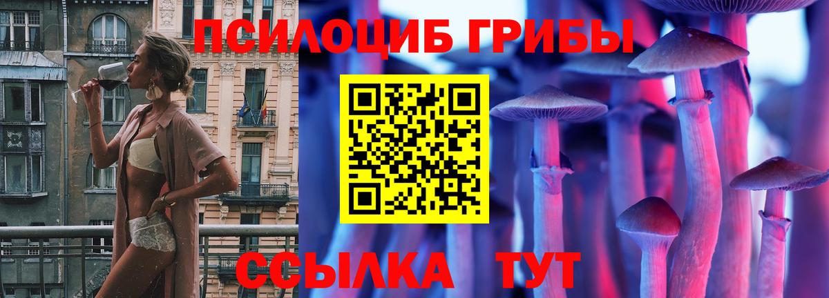 Краснокаменск  Галлюциногенные грибы Psilocybine cubensis  Псилоцибиновые грибы Psilocybine cubensis  даркнет сайт  Вход с VPN 
